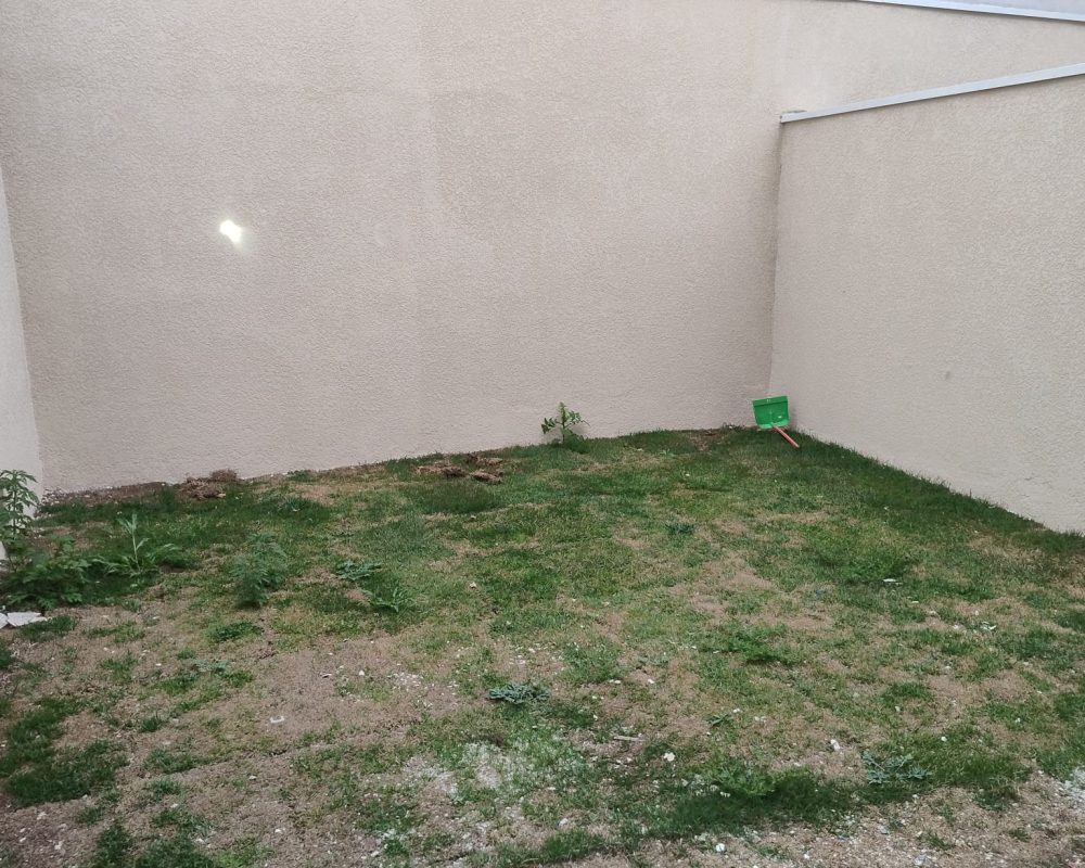 51617f88-89c1-496c-8134-5c240090393c