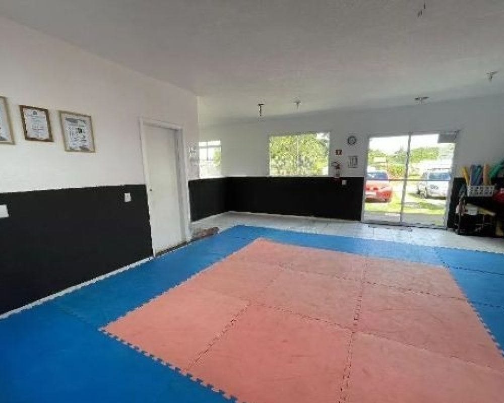 894689766-356.74158487123822e47c367cb804672a2a99066a6b076c8_magic