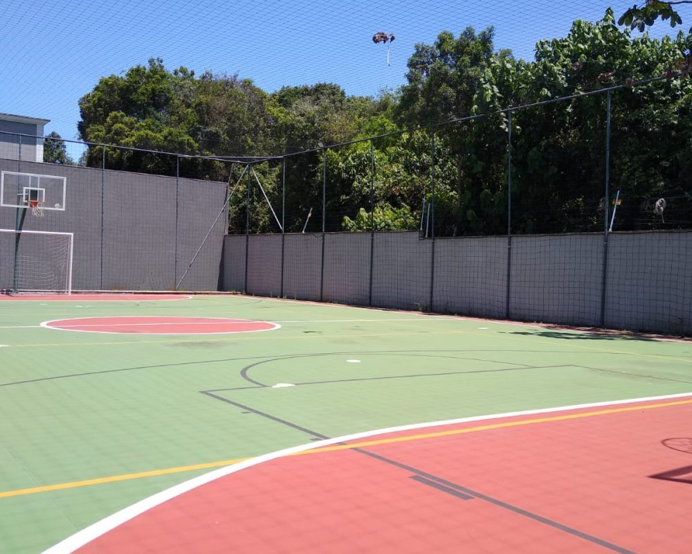 d02bd77f-0f73-41d5-87a7-fdb9ba2868f8